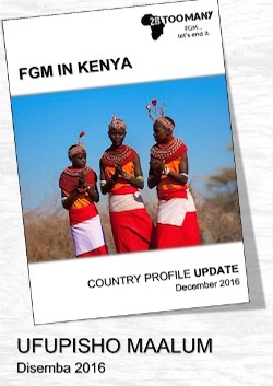 Country Profile Update: Executive Summary (2017, Swahili)